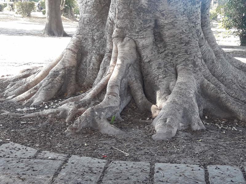 Φύση